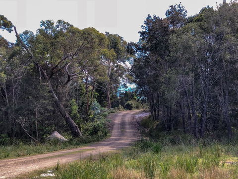 BAY OF FIRES ECO HUT Off Grid Experience At Binalong Bay - Accommodation Nelson Bay 12