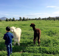 Taras Richmond Farmstay - Accommodation Nelson Bay