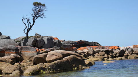 BAY OF FIRES SEACHANGE Ocean Frontage - Accommodation Nelson Bay 21