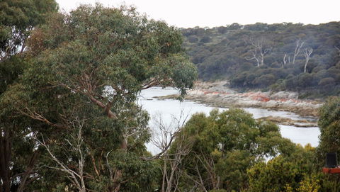 BAY OF FIRES SEACHANGE Ocean Frontage - Accommodation Nelson Bay 15