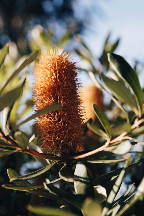 Dunkeld Studio Accommodation - Accommodation Nelson Bay 19