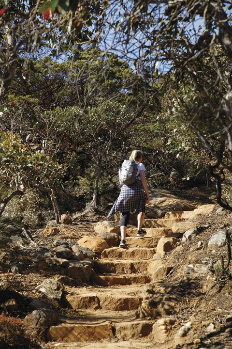 Dunkeld Studio Accommodation - Accommodation Nelson Bay 12