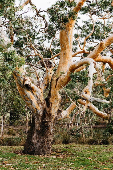 Dunkeld Studio Accommodation - Accommodation Nelson Bay 22