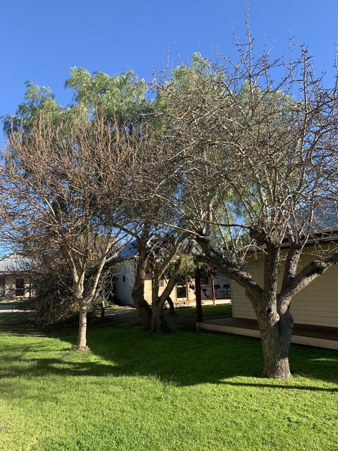 Dunkeld Studio Accommodation - Accommodation Nelson Bay 4