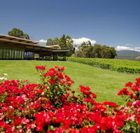 Balgownie Estate Vineyard Resort  Spa - Accommodation Nelson Bay