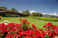 Balgownie Estate Vineyard Resort  Spa