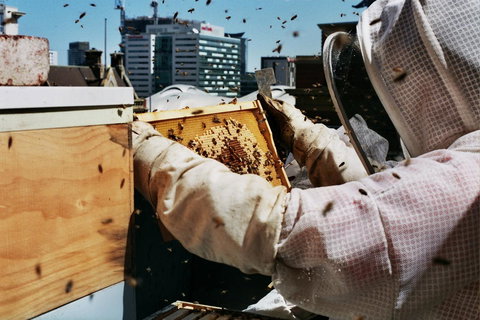 Alto Hotel On Bourke - Accommodation Nelson Bay 14