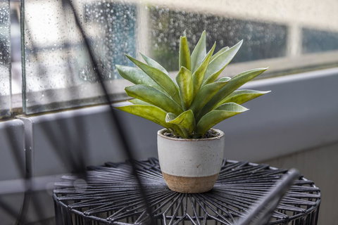 Signature Waterfront Apartments - Accommodation Nelson Bay 20