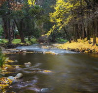 Goldfield Holiday Units - Accommodation Nelson Bay
