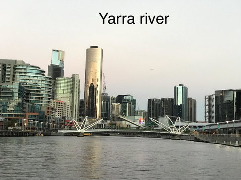 225 Melbourne Tower - Accommodation Nelson Bay 9