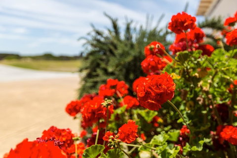 Cottages For Couples - Accommodation Nelson Bay 13