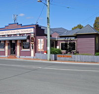 The Bears Went Over The Mountain - Accommodation Nelson Bay