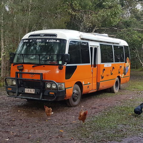 The Cabin - Accommodation Nelson Bay 3