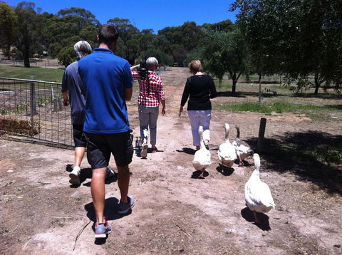 The Farm Willunga - Accommodation Nelson Bay 1
