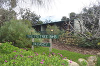 The Fig Tree BB