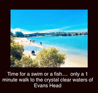 The Lazy Llama - Accommodation Nelson Bay