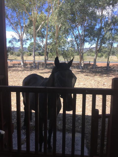 Thie My Chree Retreat - Accommodation Nelson Bay 3