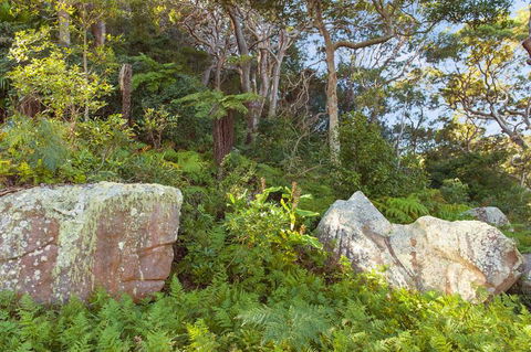 Treehouse Palm Beach - Accommodation Nelson Bay 2