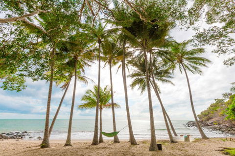 Turtle Cove Beach Resort - Adults Only LGBTQIA & Allies - Accommodation Nelson Bay 3