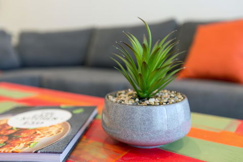 Urban Jungle! Executive Apartment In Heart Of CBD - Accommodation Nelson Bay 1