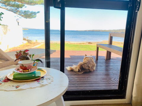 Vandy's Shack At Mount Dutton Bay - Ideal For Couples And Small Families - Accommodation Nelson Bay 3