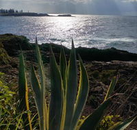 Ven  Marks Place - Accommodation Nelson Bay