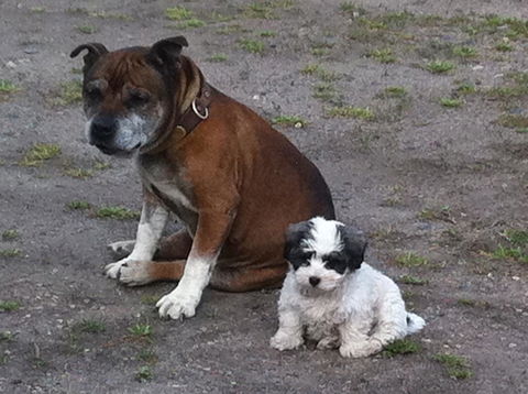 Walcha Royal Cafe & Accommodation - Accommodation Nelson Bay 3