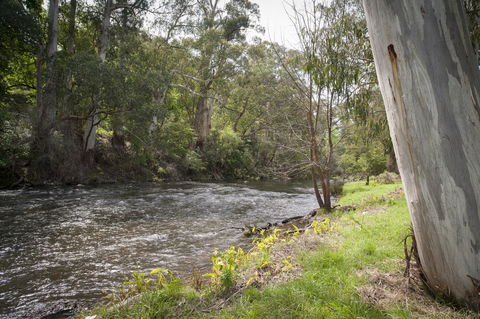 Oscar\'s On The Yarra - Accommodation Nelson Bay 23
