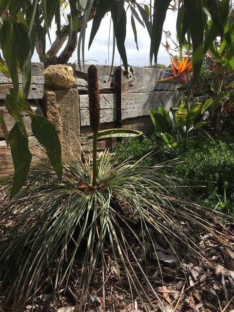 The PC Cottage - Accommodation Nelson Bay 32