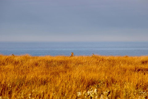 The PC Cottage - Accommodation Nelson Bay 39