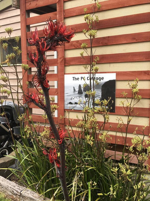 The PC Cottage - Accommodation Nelson Bay 30