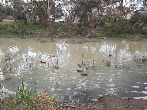 Elevated Holiday House Overlooks Tranquil Wetlands - Accommodation Nelson Bay 12