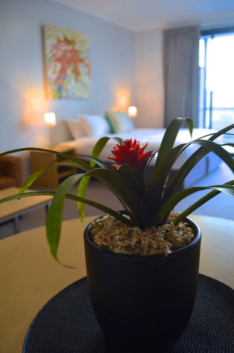 Mansfield Apartments - Accommodation Nelson Bay 21