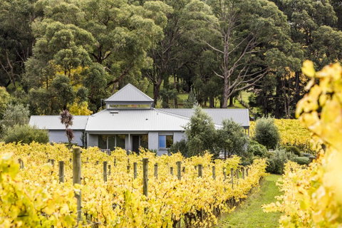 Polperro Villas - Nelsons Bay Accommodation 22