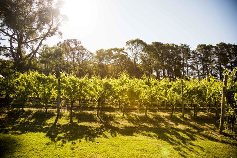 Polperro Villas - Nelsons Bay Accommodation 18
