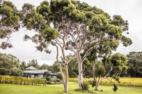 Polperro Villas - Nelsons Bay Accommodation 20