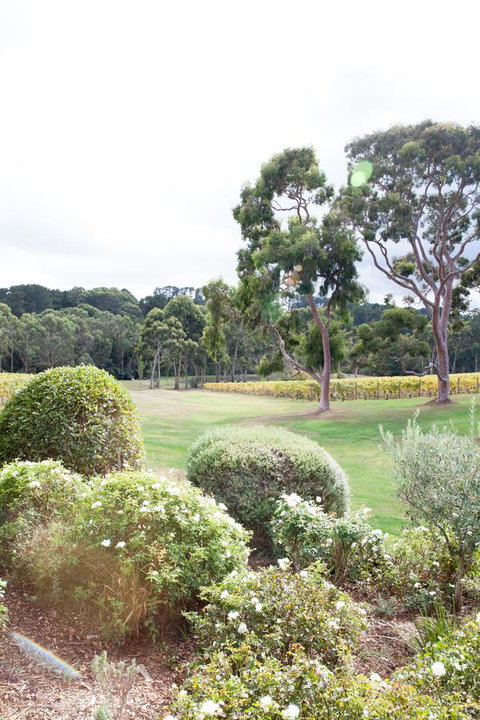 Polperro Villas - Nelsons Bay Accommodation 16