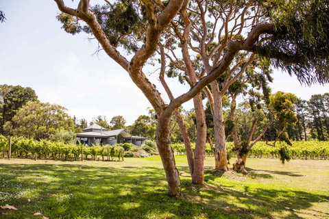 Polperro Villas - Nelsons Bay Accommodation 17