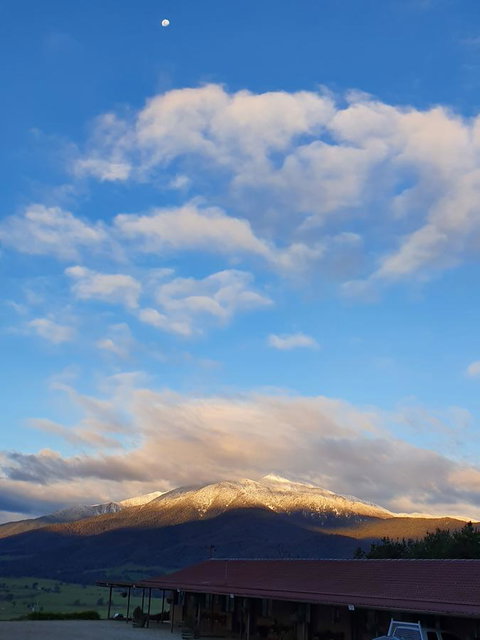 Allamar Motel - Accommodation Nelson Bay 3