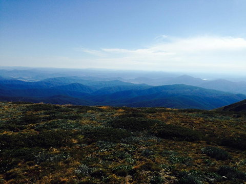 Allamar Motel - Accommodation Nelson Bay 20