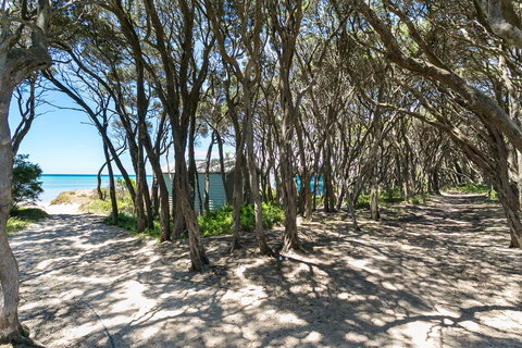Perfect Blairgowrie Beach House - Nelson Bay Accommodation.com 17