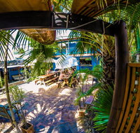 Cool Bananas Backpackers - Accommodation Nelson Bay