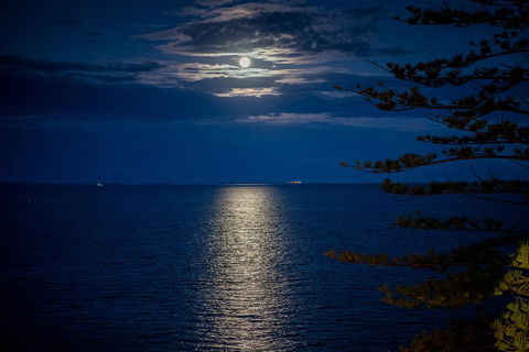 The Sebel Brisbane Margate Beach - Accommodation Nelson Bay 31