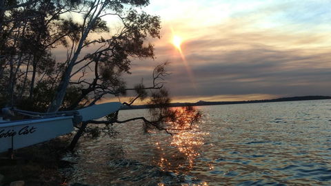 Lake Weyba Noosa Lodge & Kangaroos - Accommodation Nelson Bay 40