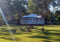 Book Peregian Beach Accommodation Vacations Accommodation Nelson Bay Accommodation Nelson Bay