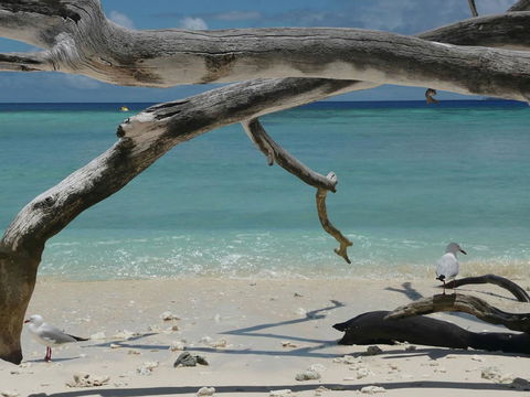 Beach Club Port Douglas Luxury Apartments - Accommodation Nelson Bay 23