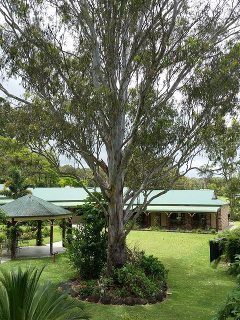 The Bearded Dragon Boutique Hotel - Accommodation Nelson Bay 32