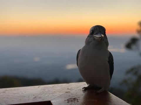 The Polish Place - Accommodation Nelson Bay 2