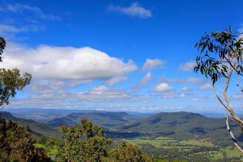 The Polish Place - Accommodation Nelson Bay 10