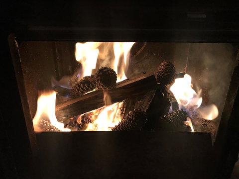 The Polish Place - Accommodation Nelson Bay 7